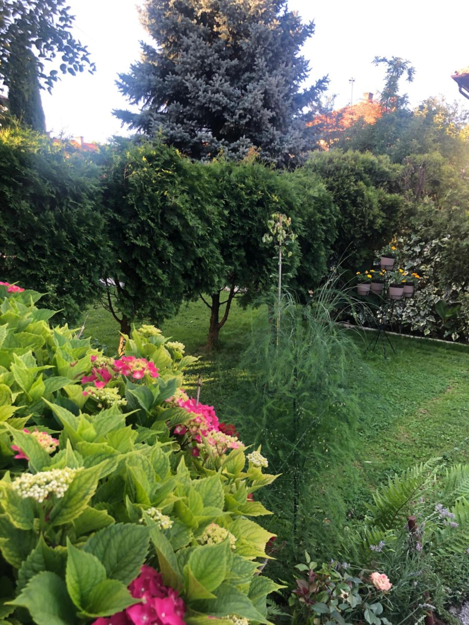 Apartman Balkan Visoko Esterno foto