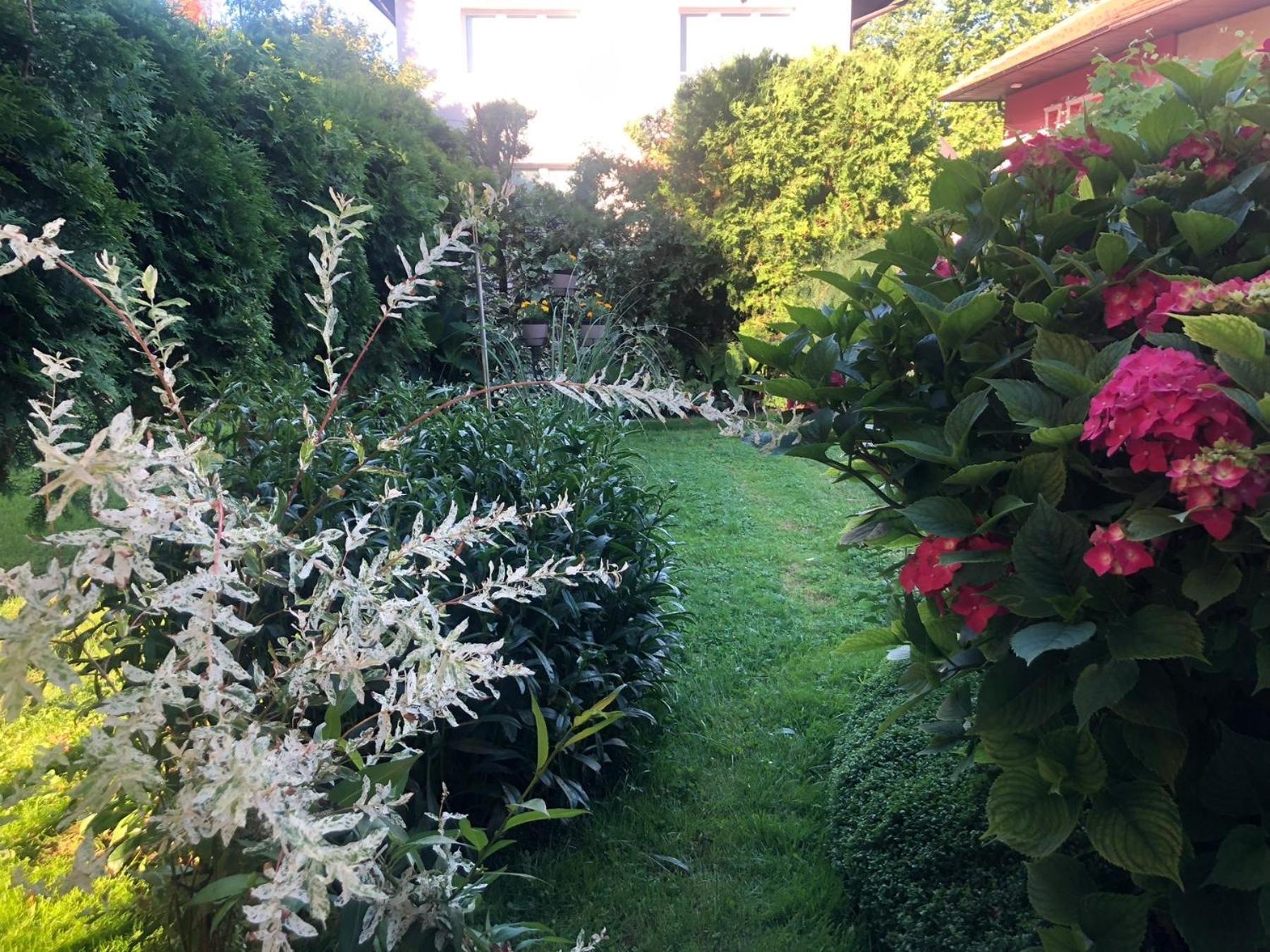 Apartman Balkan Visoko Esterno foto